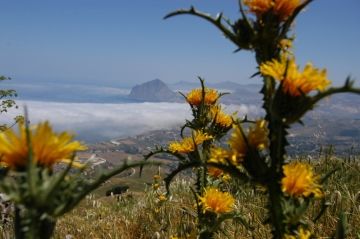 Trekking da Valderice 