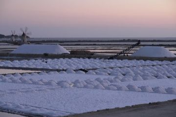 Saline dello Stagnone di Trapani