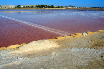 Saline di Trapani: guida completa alla Via del Sale, ai mulini e ai tramonti più belli della Sicilia occidentale - 2