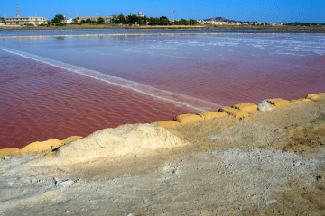 Trapani e le saline: un paesaggio unico tra mare, storia e tramonti - 1