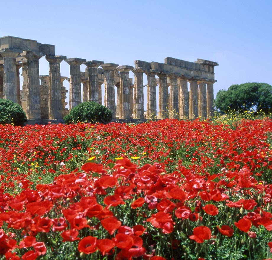 Scopri la
Sicilia Occidentale